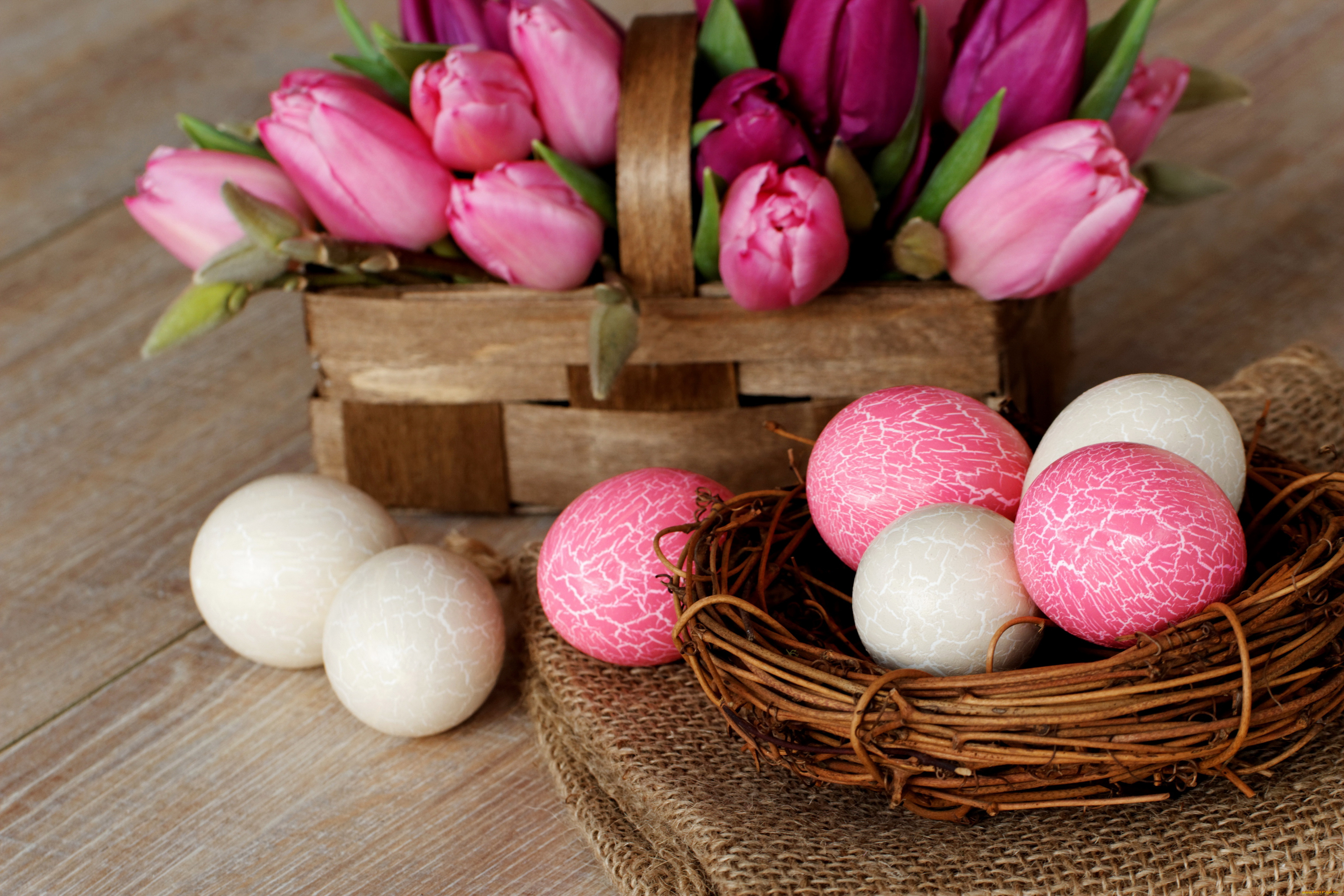 , , easter, , , , , , , , , , 